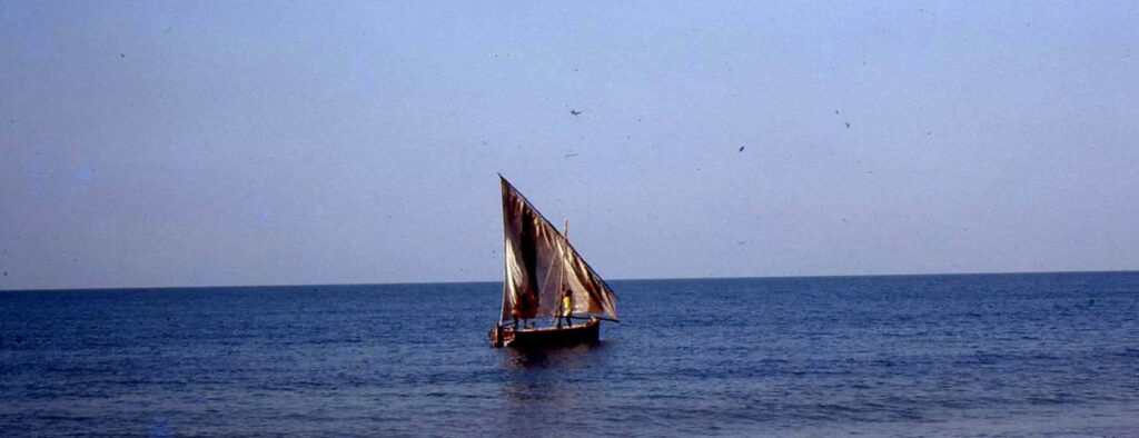 Fotoğraf: Phil Neel