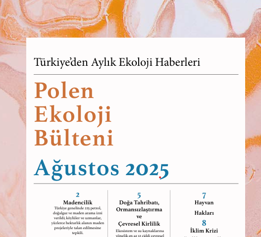 Polen Bülten – Ağustos 2025