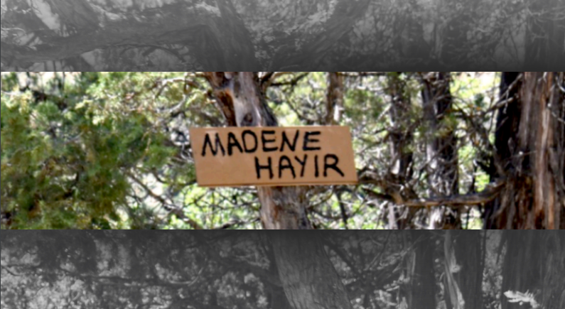 Polen Dergi | Yaz 2025 | Sayı 15