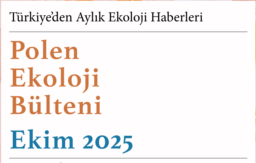 Polen Bülten – Ekim 2025