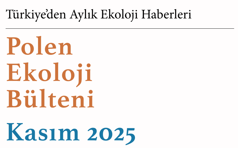 Polen Bülten – Kasım 2025